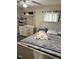 Tranquil bedroom featuring a dresser, mirror, and large bed with patterned bedding, radiating modern elegance at 4850 E University Ave, Indianapolis, IN 46201