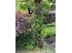 Backyard with mature landscaping, including a wisteria-covered trellis and mulch at 5002 Broadway St, Indianapolis, IN 46205