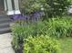 Landscaped front yard with vibrant purple flowers and lush greenery, enhancing curb appeal at 5002 Broadway St, Indianapolis, IN 46205