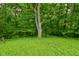 Lawn and trees at 6567 Kings Ct, Avon, IN 46123
