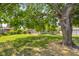 Lush backyard featuring mature tree providing ample shade, with the home visible in the background at 8120 E 11Th St, Indianapolis, IN 46219