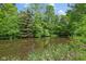 A calm pond surrounded by trees and natural vegetation at 8513 S 575 W, Morgantown, IN 46160
