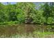 Picturesque pond surrounded by greenery and trees, reflecting the sky at 8513 S 575 W, Morgantown, IN 46160