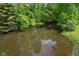 Scenic view of a pond surrounded by lush greenery and trees at 8513 S 575 W, Morgantown, IN 46160