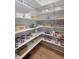 Well-organized pantry featuring ample shelving for food storage and kitchen essentials at 9602 Fall Creek Rd, Indianapolis, IN 46256