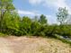 Image of a vacant lot surrounded by lush greenery and trees, offering serene setting for building at 9602 Fall Creek Rd, Indianapolis, IN 46256