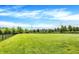 Large, well-maintained backyard with a lush green lawn, and a black fence enclosing the property at 15717 Hush Hickory, Westfield, IN 46074