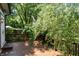 Expansive wooden back deck surrounded by lush trees and greenery providing a private outdoor space at 2134 N Alabama St, Indianapolis, IN 46202