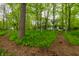 Beautiful home surrounded by lush green trees, showcasing natural beauty at 4130 N Meridian St, Indianapolis, IN 46208