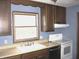 A compact kitchen with blue walls, wooden cabinets, a sink, and an oven at 60 Bittersweet Ct, Noblesville, IN 46062