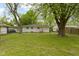 Lush green backyard with mature trees offers a serene and private outdoor space at 7835 E 50Th St, Indianapolis, IN 46226
