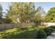 Large grassy backyard is surrounded by a wooden fence for privacy, offering a safe and spacious area for outdoor activities at 107 W Columbine Ln, Westfield, IN 46074