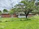 Backyard view of the home showcasing a large tree, fenced yard, and enclosed patio area at 1103 Canal St, Anderson, IN 46012