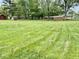 Expansive backyard featuring a grassy lawn and mature trees, providing privacy and a serene outdoor setting at 1103 Canal St, Anderson, IN 46012