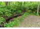 Secluded backyard creek surrounded by lush greenery and mature trees at 3348 Fox Orchard Cir, Indianapolis, IN 46214