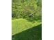 Large backyard area with a wooden shed at 3541 Alpine Pl, Indianapolis, IN 46226