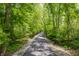 Beautiful walking path through lush greenery at 10784 Giselle Way, Fishers, IN 46040