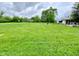 Expansive green backyard with mature trees, providing a spacious and private outdoor setting at 2221 E 35Th St, Anderson, IN 46013