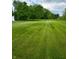 Flat backyard with meticulously maintained lawn and scattered trees at 3559 S County Road 475 E, Plainfield, IN 46168