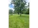 Green backyard with trees at 3559 S County Road 475 E, Plainfield, IN 46168