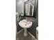 Pedestal sink in gray bathroom is complemented by a black-framed mirror and greenery at 3559 S County Road 475 E, Plainfield, IN 46168