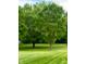 Lawn with mature trees at 3559 S County Road 475 E, Plainfield, IN 46168