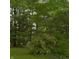 Overgrown portion of back property showcasing tree coverage at 3559 S County Road 475 E, Plainfield, IN 46168