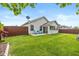 Wide shot of back yard with green grass, brown wooden fence, and screened-in porch at 4256 Zachary Ln, Westfield, IN 46062