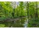 A serene creek flowing through a wooded area, surrounded by lush green trees and foliage at 12469 Springmill Rd, Carmel, IN 46032