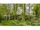 Secluded home exterior surrounded by mature trees and lush greenery, showcasing unique architectural design at 12469 Springmill Rd, Carmel, IN 46032