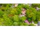 Lush, tree-filled aerial view of property with approximate property lines marked in red at 806 Maplewood Ave, Anderson, IN 46012