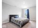 Neutral bedroom features carpet and a large window view with blue curtains at 10419 Pronghorn Ln, Indianapolis, IN 46239