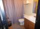 Bathroom with a gray shower curtain, toilet, vanity, sink, and mirror at 1612 Prairieview Ln, Greenfield, IN 46140