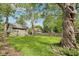 Large backyard with a mature tree, lush lawn, and privacy fence, offering plenty of space for recreation and outdoor enjoyment at 5117 N Park Ave, Indianapolis, IN 46205