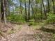 Dirt path going into a forest with mature trees and natural undergrowth in a peaceful setting at 8581 N Goat Hollow Rd, Mooresville, IN 46158