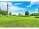 Large backyard featuring well maintained lawn and mature trees at 893 W 500 S, Anderson, IN 46013