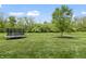 Expansive backyard with a trampoline, offering ample space for recreation and outdoor activities at 4428 Maldenhair Dr, Indianapolis, IN 46239