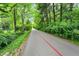 Paved path surrounded by lush trees and greenery with painted red line at 5104 Carvel Ave, Indianapolis, IN 46205