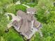Stunning aerial view of a home with a large deck, pristine landscaping, and a private pool surrounded by lush greenery at 5786 E Fall Creek Pkwy N Dr, Indianapolis, IN 46226