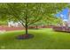 Lush backyard with a large, shady tree, well-kept lawn, and a red fence, creating a serene outdoor space at 8430 Harrison Pkwy, Fishers, IN 46038