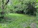 Backyard with green grass and plentiful vegetation at 310 S Shady Ln, Muncie, IN 47304