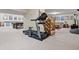 Basement featuring a treadmill leading to a staircase and adjacent to a cozy living area at 3823 Brigade Cir, Carmel, IN 46032