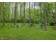 Secluded backyard retreat with a firepit, picnic table, and hammock, surrounded by lush trees at 470 Mill Farm Rd, Noblesville, IN 46062