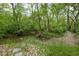 Picturesque wooded area with a tranquil creek flowing through the property at 470 Mill Farm Rd, Noblesville, IN 46062