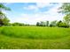 Expansive grassy land under a bright sky, ideal for development or enjoying nature, with trees and greenery at 5335 W 550 S, Trafalgar, IN 46181