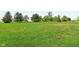 Lush green lawn accented with wildflowers and mature trees provides a serene, pastoral setting at 5758 N 1200 E, Sheridan, IN 46069