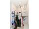 This is an organized utility room featuring water heater, softener, shelving, and cleaning supplies at 1530 Gristmill Meadows Dr, Westfield, IN 46074