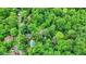 Aerial shot featuring a house with a pool surrounded by lush trees at 7335 Bethany Park, Martinsville, IN 46151