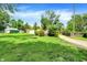 Expansive grassy backyard with mature trees, and gravel driveway, perfect for outdoor activities at 2150 S Emerson Ave, Indianapolis, IN 46203