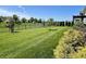 Spacious backyard features a manicured lawn, black iron fence, and mature trees, perfect for outdoor activities at 3691 Talmine Ln, Bargersville, IN 46106